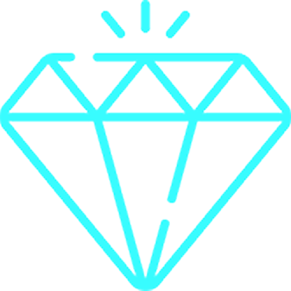 pro plan icon